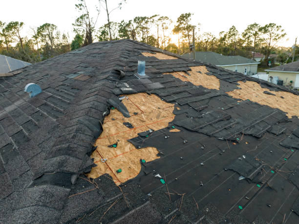 Best Sheet Metal Roofing  in South Monroe, MI